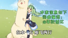 羊驼姑娘-01
