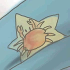 五角星与河蟹帽徽