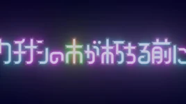 在栀子树还未干枯之前-01