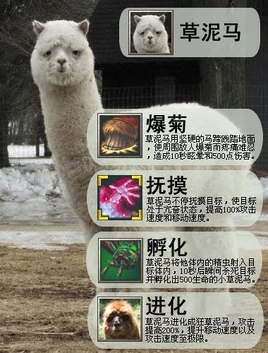 草泥马-设定图1