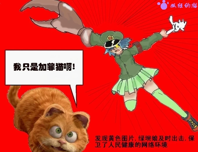 抓狂的猫.jpg